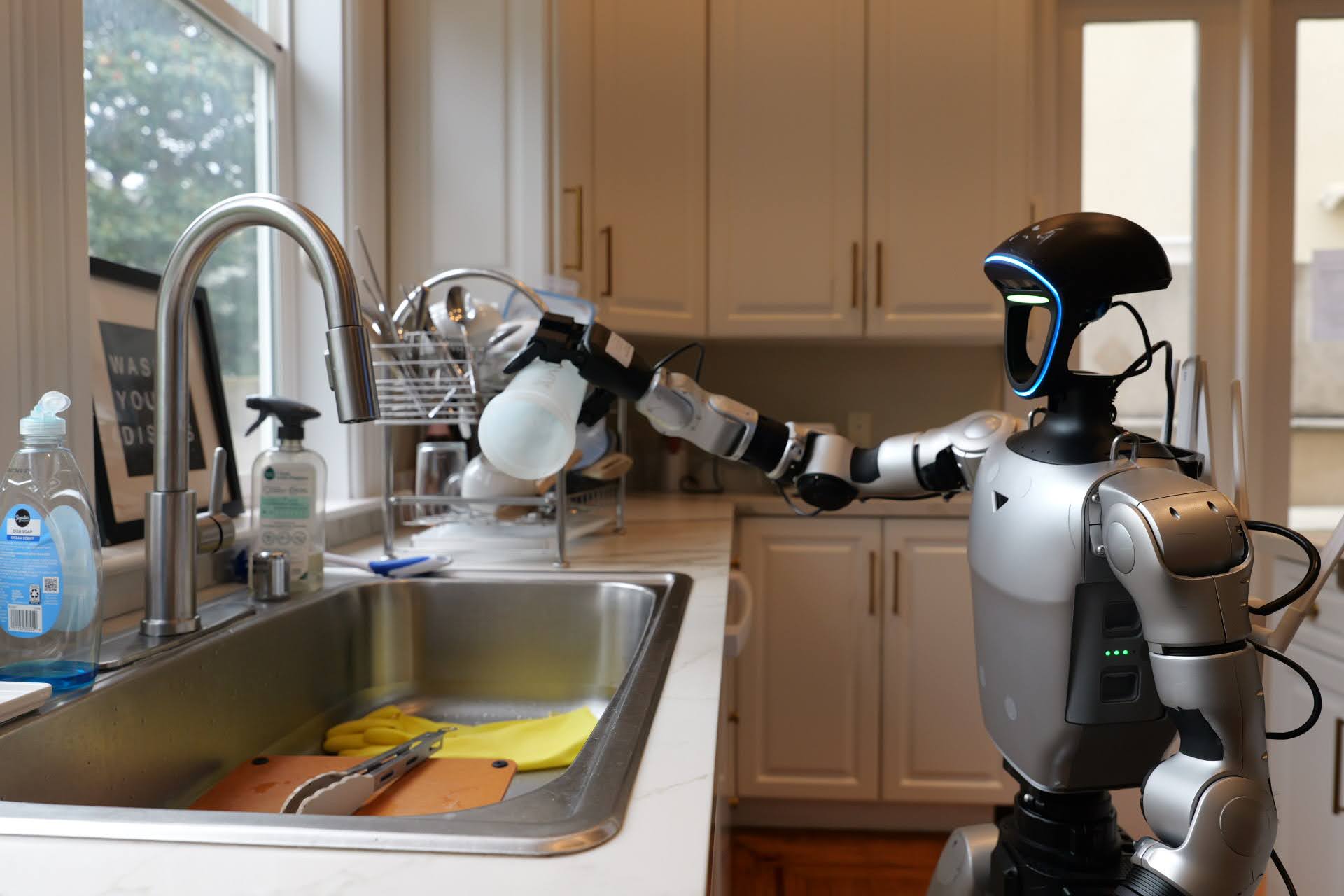 Robot at the kitchen sink